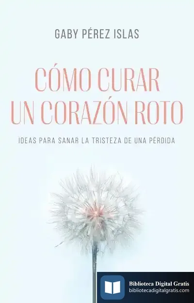 Descargar Cómo Curar Un Corazón Roto