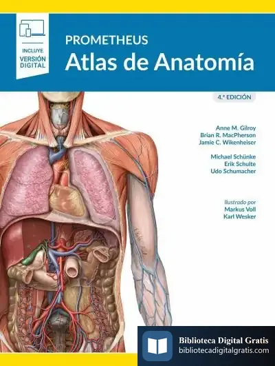 Descargar Prometheus Atlas De Anatomia de Gilroy