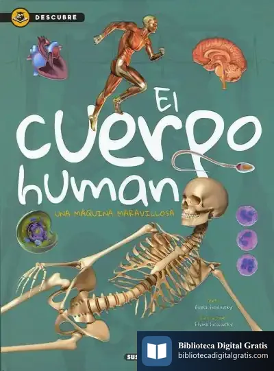 Descargar Descubre. El Cuerpo Humano de Gisela Socolovsky