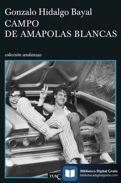 Descargar Campo De Amapolas Blancas