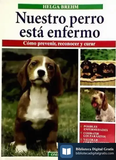 Descargar Nuestro Perro Esta Enfermo