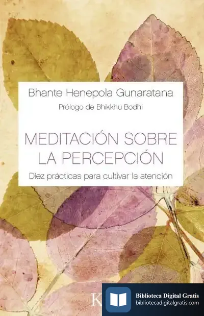 Descargar Meditación Sobre La Percepción de Henepola Gunaratana