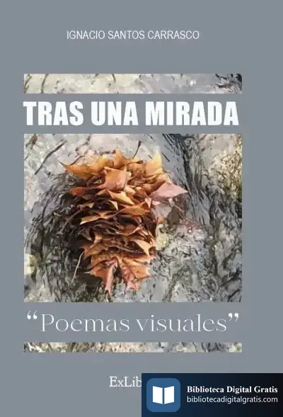 Descargar Tras Una Mirada. Poemas Visuales