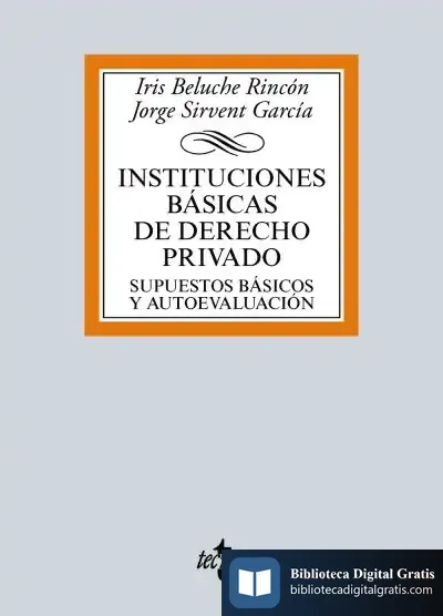 Descargar Instituciones Básicas De Derecho Privado de Iris Beluche Rincón