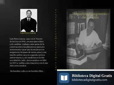 Descargar Pequeños Fragmentos De Mi Vida