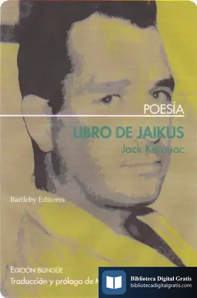 Descargar Libro De Jaikus de Elvira Navarro