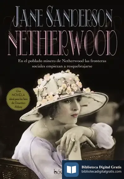 Descargar Netherwood