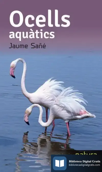 Descargar Ocells Aquàtics
