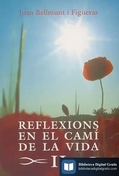 Descargar Reflexions En El Camí De La Vida Ii de Joan Bellmunt