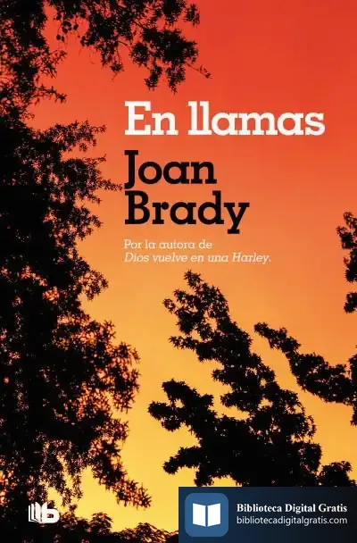 Descargar En Llamas de Joan Brady