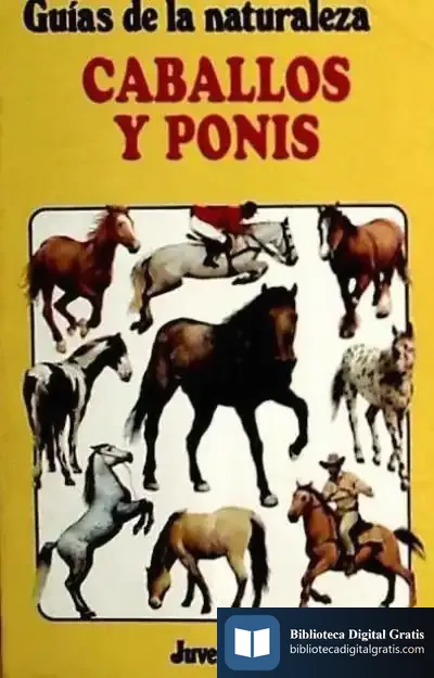Descargar Caballos Y Poneis Gn