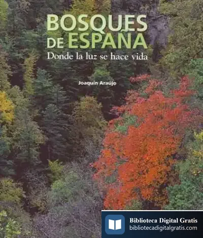 Descargar Bosques De España de Fernando del Castillo
