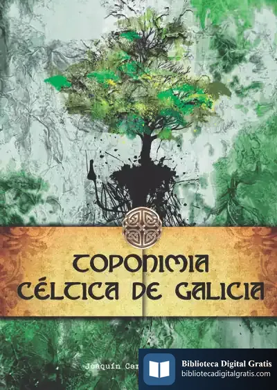 Descargar Toponimia Céltica De Galicia de Joaquín Caridad Arias