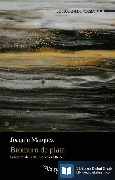 Descargar Bromuro De Plata de Joaquín Márquez Ruiz