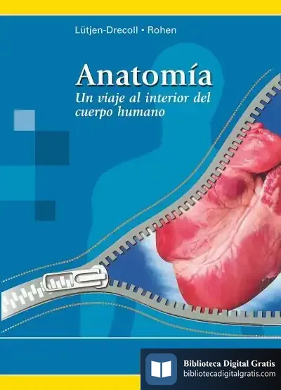 Descargar Anatomía