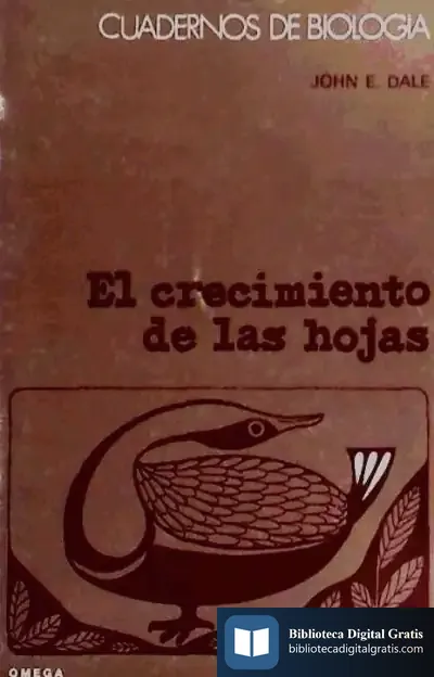 Descargar 68. El Crecimiento De Las Hojas
