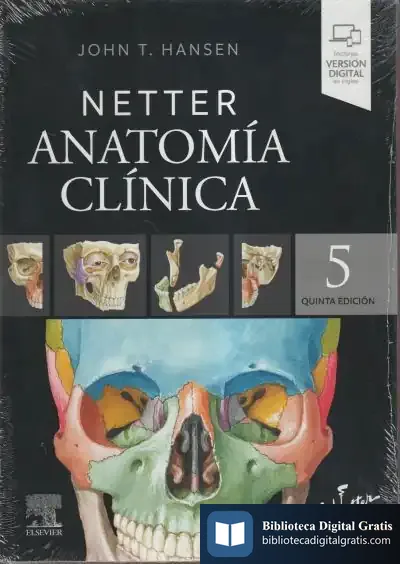 Descargar Netter. Anatomía Clínica