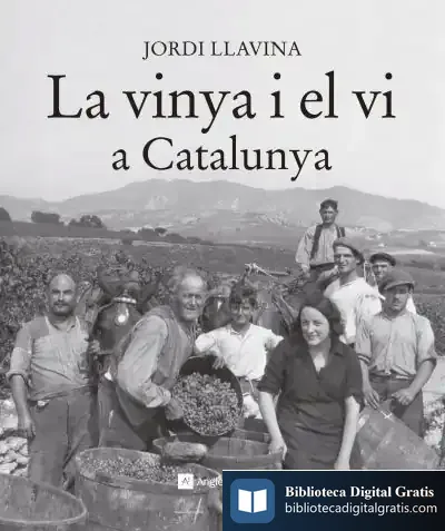 Descargar La Vinya I El Vi A Catalunya de Jordi Llavina