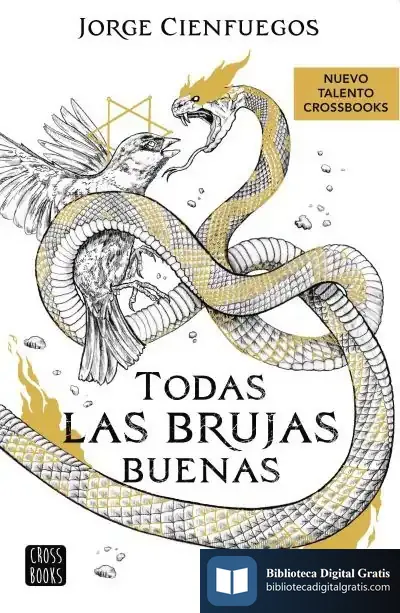 Descargar Todas Las Brujas Buenas de Jorge Cienfuegos