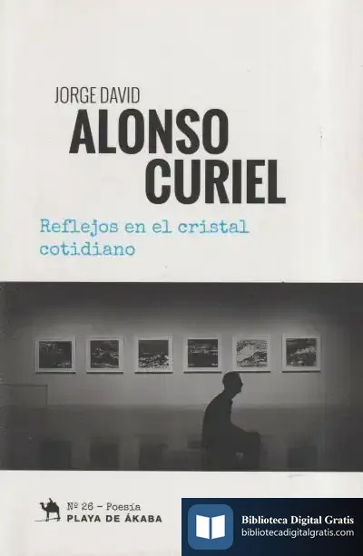 Descargar Reflejos En El Cristal Cotidiano de Jorge David Alonso