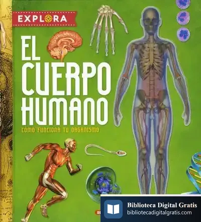 Descargar Explora. El Cuerpo Humano de Jorge Montoro