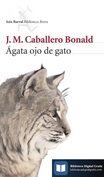 Descargar Ágata Ojo De Gato