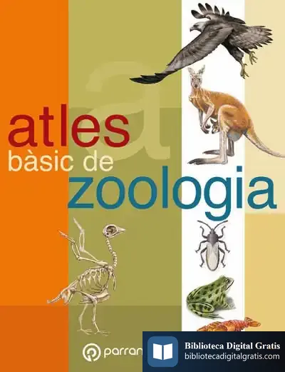Descargar Atles Basic De Zoologia de Krzysztof Sliwa