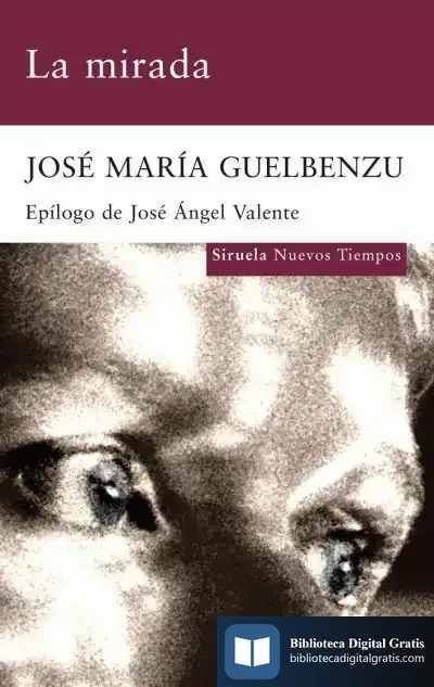 Descargar La Mirada de José María Guelbenzu Fernández