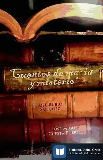 Descargar Cuentos De Magia Y Misterio de S.l. Plaza y Valdes