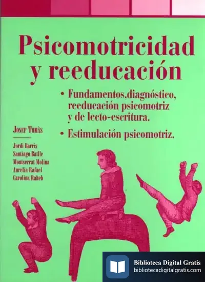 Descargar Psicomotricidad Y Reeducación