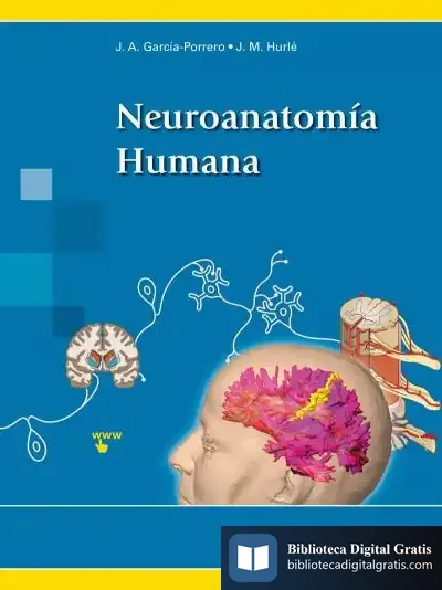 Descargar Neuroanatomía Humana+Versión Digital de Juan M. Hurlé González