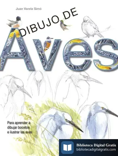 Descargar Dibujo De Aves