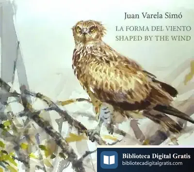 Descargar La Forma Del Viento = Shaped By The Wind de Juan Manuel Varela