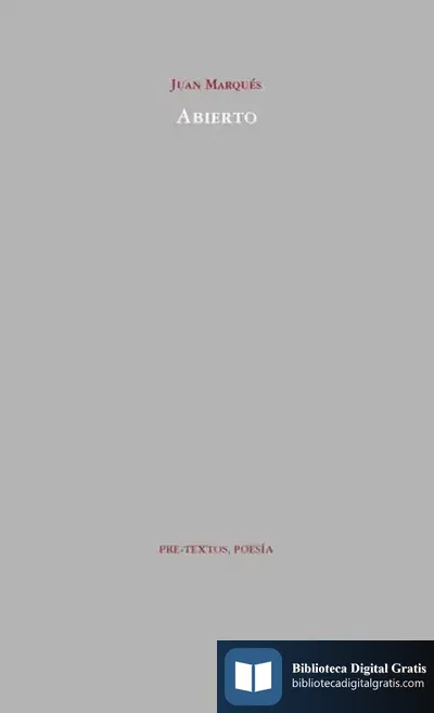 Descargar Abierto de Juan Fernando Sellés Dauder