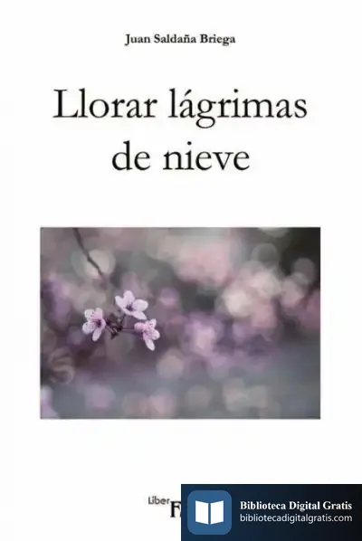 Descargar Llorar Lágrimas De Nieve de Juan Saldaña Briega