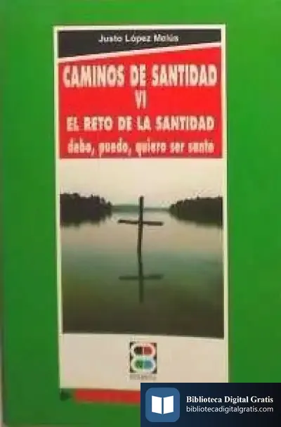 Descargar Caminos De Santidad Vi de Orígenes