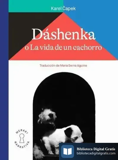 Descargar Dáshenka