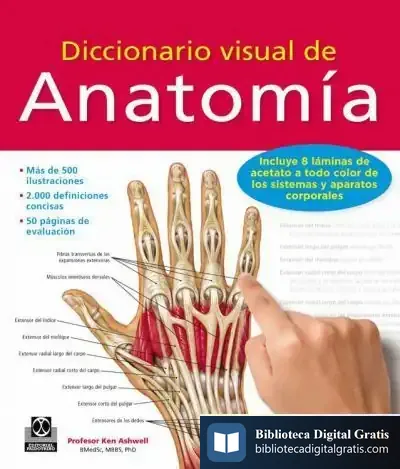 Descargar Diccionario Visual De Anatomía