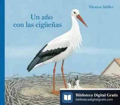 Descargar Un Año Con Las Cigüeñas de L. Rodríguez López