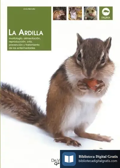 Descargar La Ardilla de Vicente Muñoz Puelles