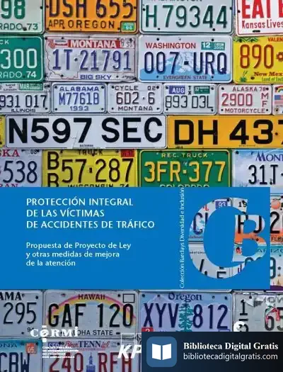 Descargar Protección Integral De Las Víctimas De Accidentes De Tráfico