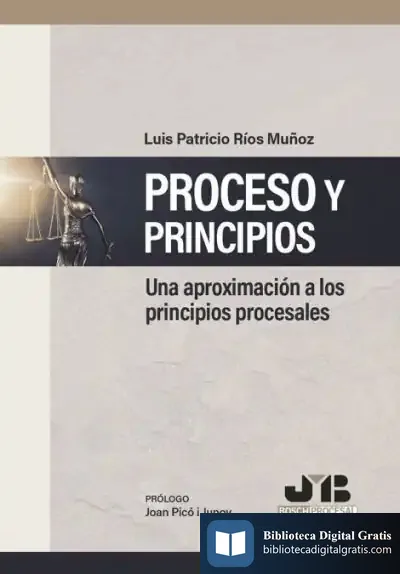 Descargar Proceso Y Principios
