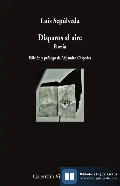 Descargar Disparos Al Aire
