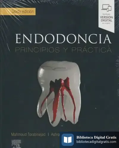 Descargar Endodoncia (6? Ed.)