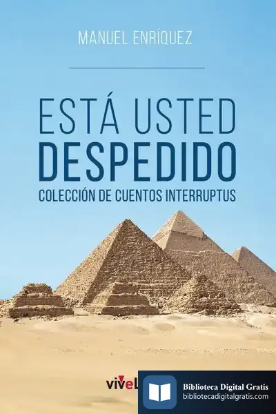 Descargar Está Usted Despedido de Manuel Enríquez Turiño