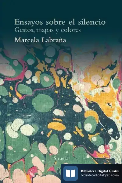 Descargar Ensayos Sobre El Silencio: Gestos, Mapas Y Colores de Marcela Labraña Santana