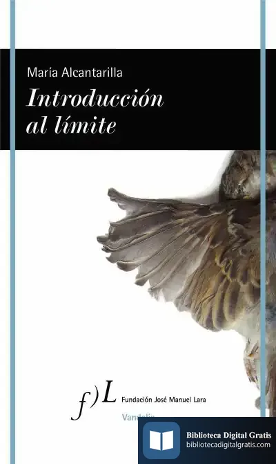 Descargar Introducción Al Límite de María Alcantarilla Ramos