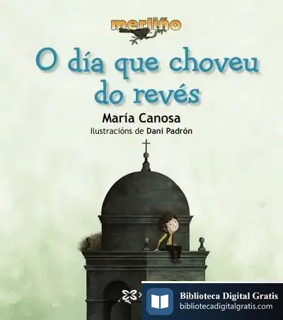 Descargar O Día Que Choveu Do Revés de María Canosa