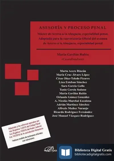 Descargar Asesoría Y Proceso Penal de María Gavilán Rubio