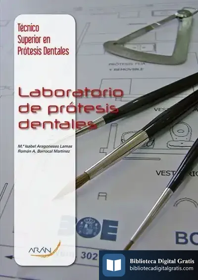 Descargar Laboratorio De Prótesis Dentales de María Isabel Aragoneses Lamas